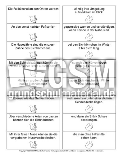 Eichhörnchen-Satzteile-verbinden-3.pdf